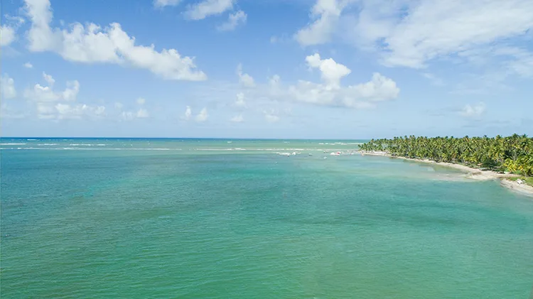 mar de carneiros